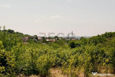 Teren de 1200 mp, în Paleu - 18