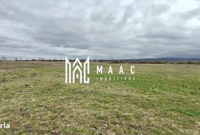 Spațiu comercial, în Cristian - 4