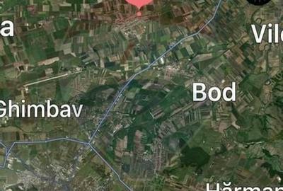 Vanzare teren rezidential 7500 mp Brasov, Halchiu / Strada Romana - 4
