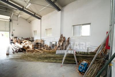 Spațiu comercial, de 560 mp, în Remetea Mare - 7