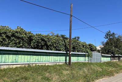 Casă cu 4 camere în Valea Albă - 5