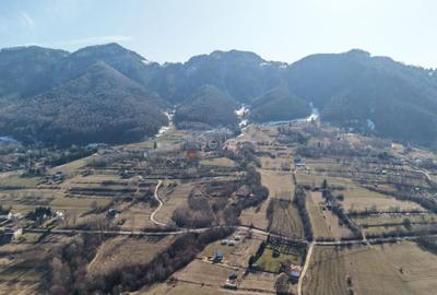 Teren Construcții intravilan de 4043 mp, în Predeluț - 32