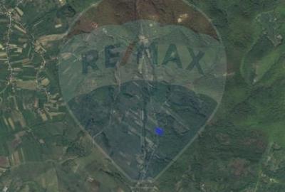 Teren agricol intravilan de 1700 mp, în Borod - 5