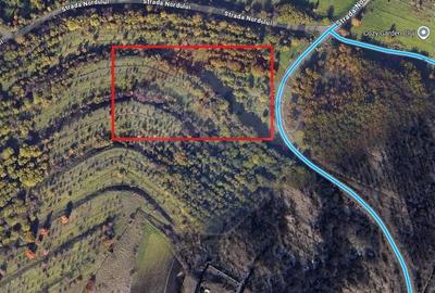 Teren intravilan de vânzare – zona Borhanci/Palacsay Cluj-Napoca - 1