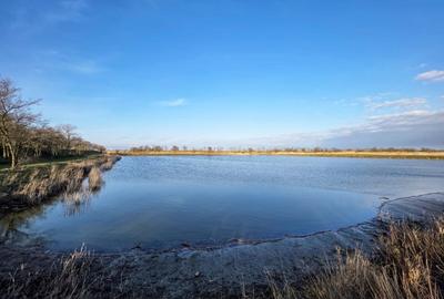 Oportunitate Unica! Teren de 35 Ha la 10E/mp cu Lacuri Medicinale si Acces Delta - 13