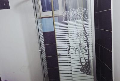 Ap 1 cam D, Gara, vis a vis Mc donalds - 10