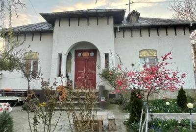 Casă cu 3 camere în Mihăești - 16
