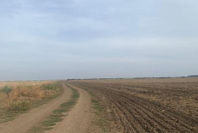 Teren intravilan  38500mp Stefanesti  DJ200 - 5