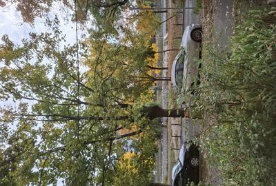 Apartament 1 camera econom Apartament 1 camera econom - 3