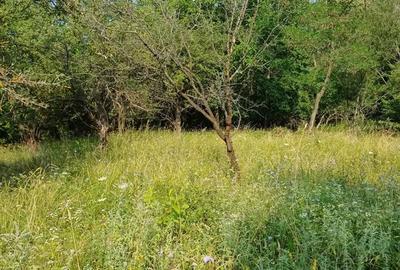 Teren de 3600 mp, în Bela - 5