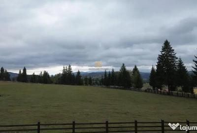 Teren de 16813 mp, în Fundu Moldovei - 5