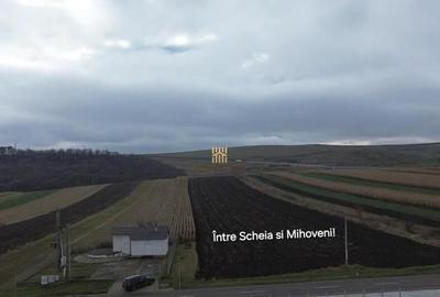 Teren Intravilan 14066 mp 1,4 hectare Suceava Mihoveni - 12