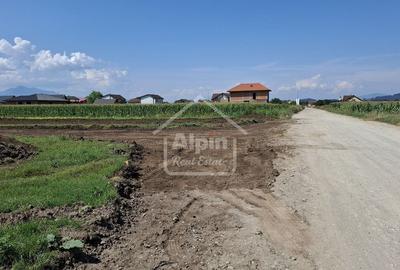 Teren Pretabil Investitie Harman - 1