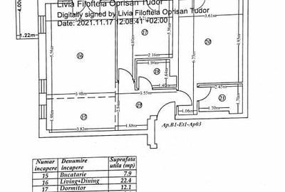 Apartament cu 3 camere, mobilat în Iancu Nicolae - 11