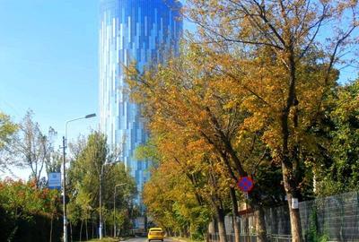 Birou, de 200 mp, în Floreasca - 11