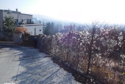 Spațiu comercial, în Grigorescu