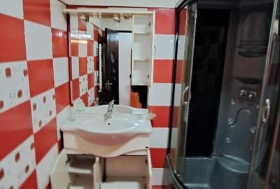 Apartament cu 2 camere decomandat în Parcul Circului - 5