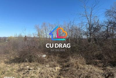 Spațiu comercial, în Sibiel - 6