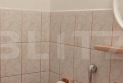 Apartament cu 3 camere decomandat, mobilat în Arcu - 2