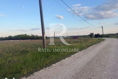Teren de 2000 mp, în Tămășeu - 6