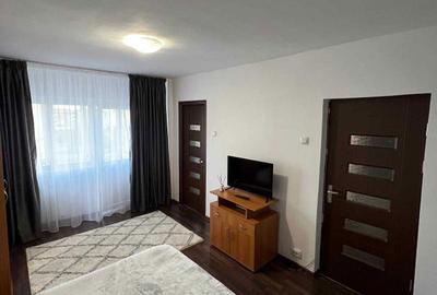 Garsonieră semidecomandată în Craiovița Nouă - 2