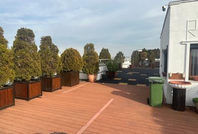 Penthouse de 4 camere-Costin Georgian/4-Room Penthouse-Costin Georgian - 27