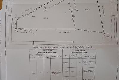 Teren Construcții intravilan de 1650 mp, în Ghioșești - 2