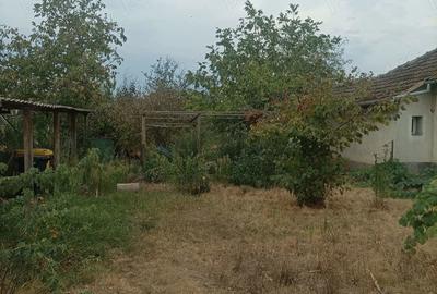 Casă cu 2 camere cu Teren 1100 Mp în Curtici - 2