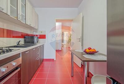 Apartament spatios cu gradina, vedere la munte si potential comercial - 17