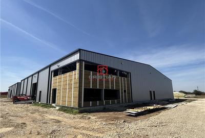 Spațiu comercial, de 1,500 mp, în Mogoșoaia - 1