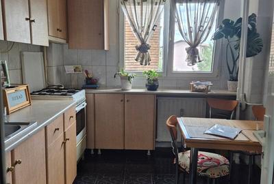 Militari Gorjului Iuliu Maniu Militari Gorjului Iuliu Maniu - 2