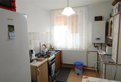 Apartament cu 2 camere semidecomandat în Moldova Nouă - 6