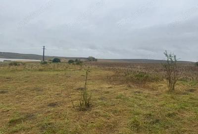 Teren de 10000 mp, în Moara - 18