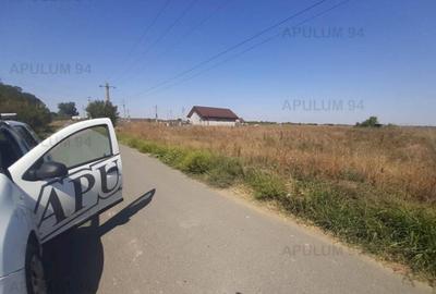 Teren pentru case in 1 Decembrie - 8