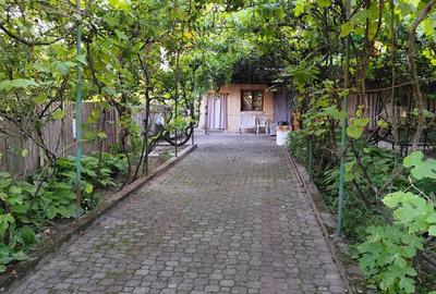 Casă cu 6 camere în Sintea Mare - 7