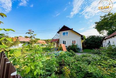 FILM!Areal apreciabil,casa+domeniu de 3.500mp,Sancraiu,vecin Sfantu Gheorghe si FILM!Areal apreciabil,casa+domeniu de 3.500mp,Sancraiu,vecin Sfantu Gheorghe si - 31