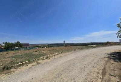 Teren Paleu Intravilan - 2