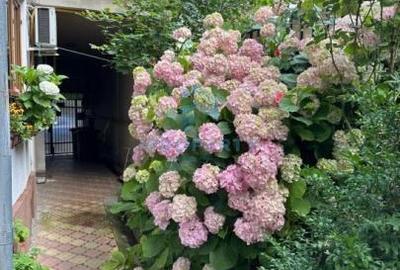 Apartament cu 2 camere, mobilat în Muncii - 5