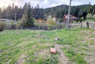 Teren Construcții intravilan de 941 mp, în Hangu - 28