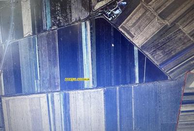 Teren extravilan , 5000mp, Radauti - 2