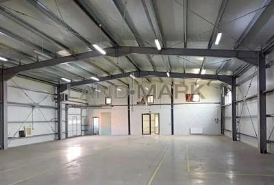 Cladire comerciala depozit de inchiriat , Mosnita Noua Timis - 5