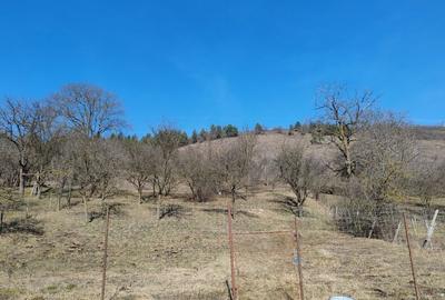 Casă cu 4 camere în Suceagu - 1