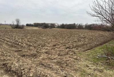 Teren de 2055 mp, în Brădești