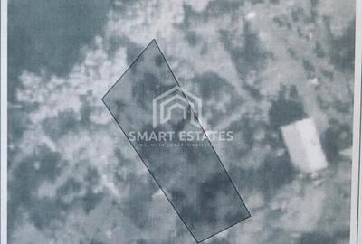 SNAGOV Gruiu - Teren 1000 MP - d 24 m la lac - pozitie excelenta - 9