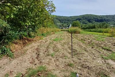 Spațiu comercial, în Voroveni - 9