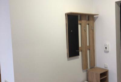 Apartament cu 2 camere semidecomandat, mobilat în Tătărași - 6