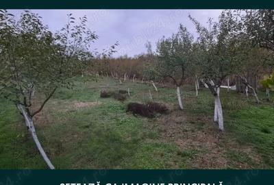 Casa de vanzare- - 3