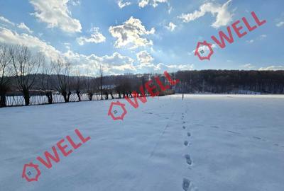 Teren intravilan de 1808 mp, în Buzăiel - 4