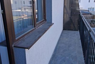 Casă cu 4 camere în Alexandriei - 14