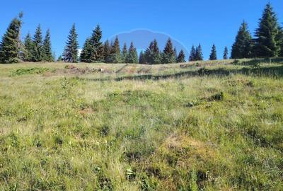 Teren de 24581 mp, în Panaci - 9